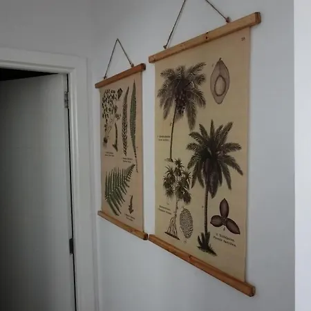 شقة Salva Reina *